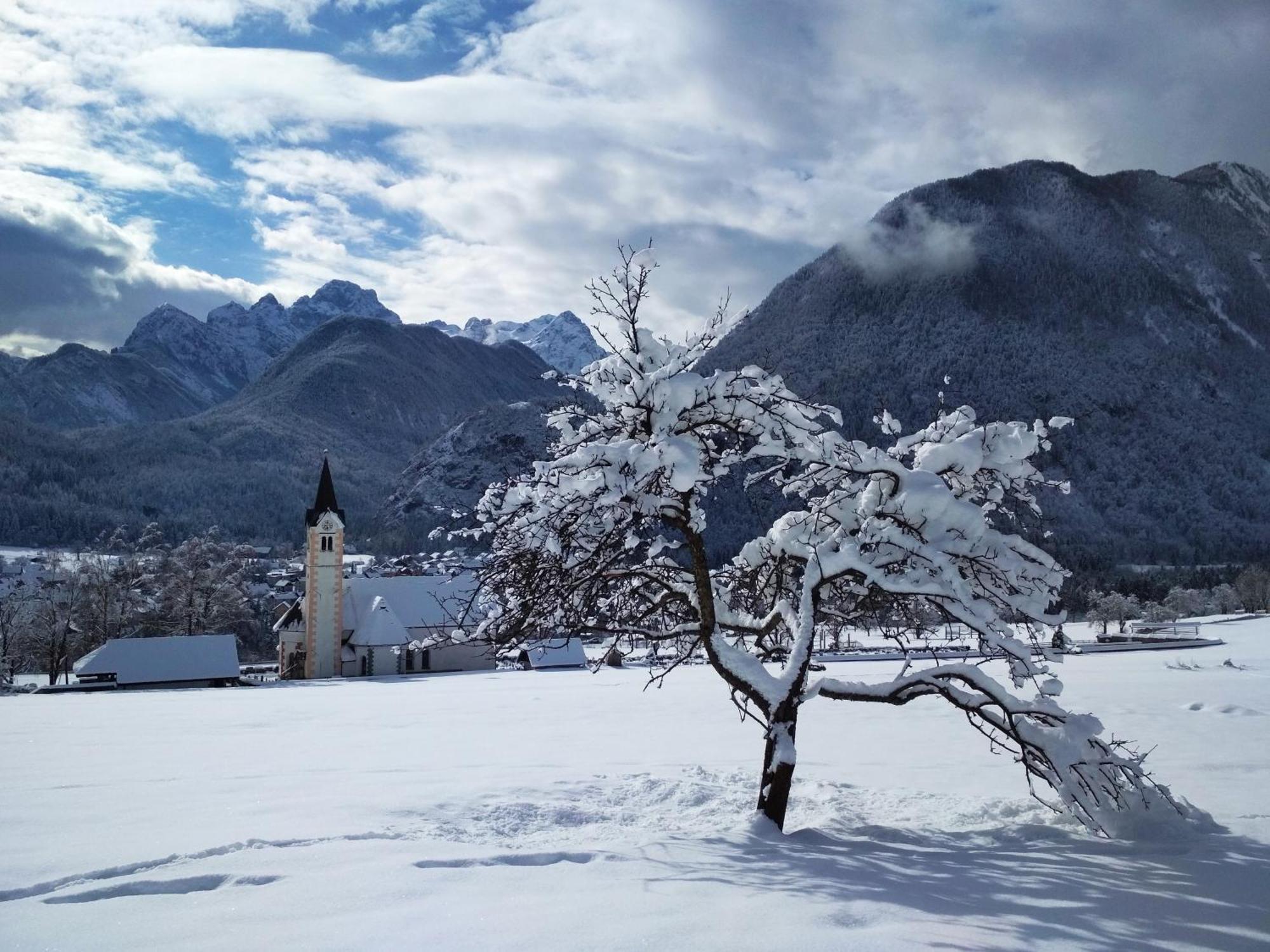 Apartments Triglav Mojstrana Kültér fotó